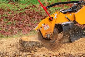 Best Firewood Processing and Delivery  in Spencer, IA